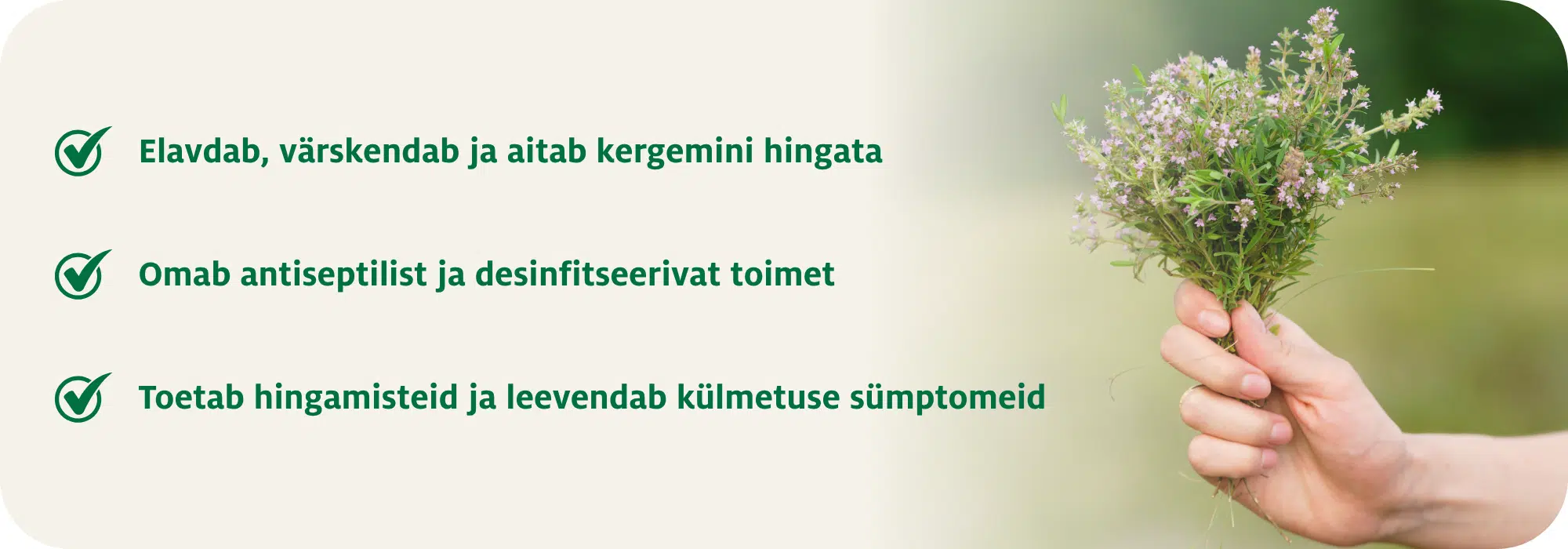 Tüümianikreem hingamisteedele - Nahrin