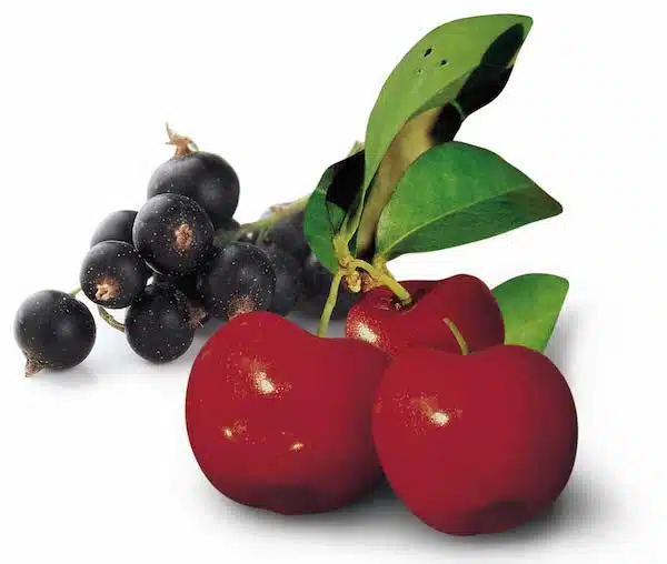 c-vitamiin-acerola-mustsõstar - Nahrin