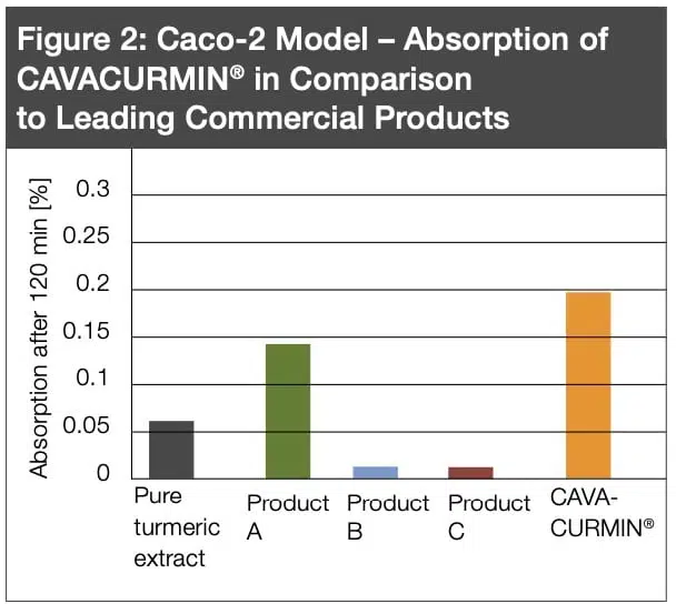 kurkumi imendumine teaduslikult inimeses - Nahrin kurkumi imendumine teaduslikult inimeses