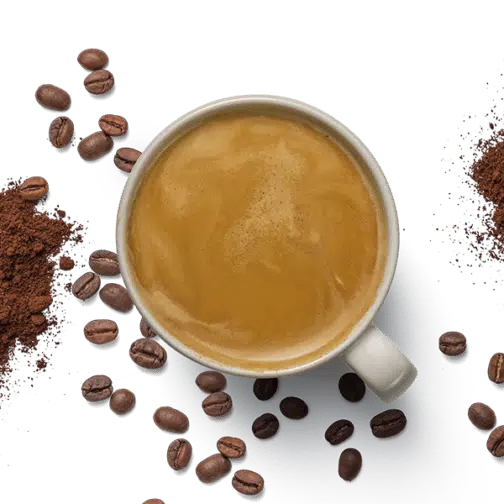 NESPRESSO kohvikapslid biolagunevad