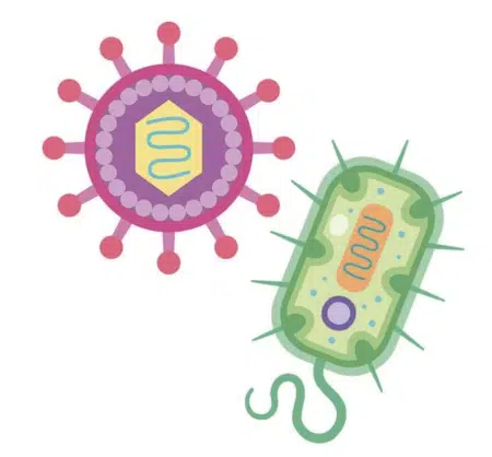 Screenshot-2022-10-12-at-22.20.49 - Nahrin