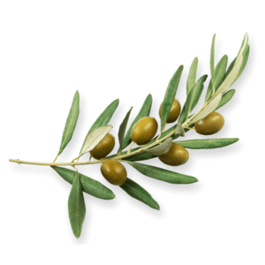 oliiviõli looduslik näokreem