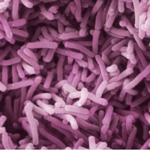 probiootiline looduslik näokreem