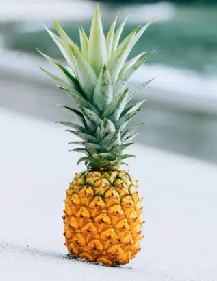 Screenshot-2024-04-25-at-173159 - Nahrin