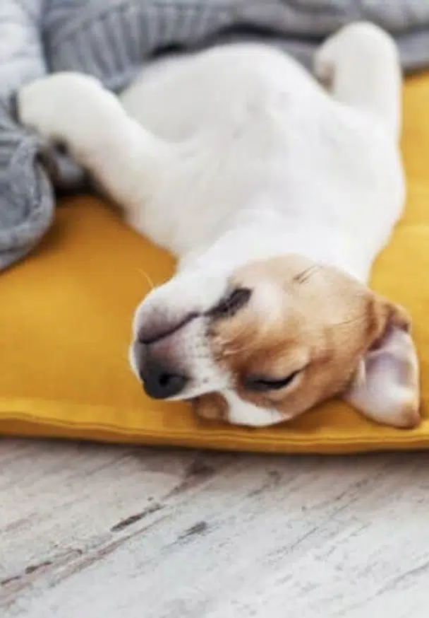 Screenshot-2024-04-26-at-095437 - Nahrin