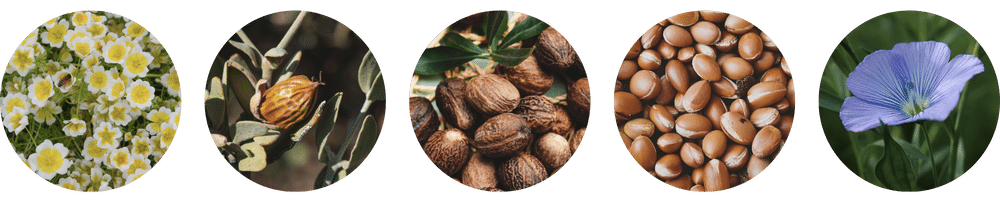 3 in 1 koostis - Nahrin