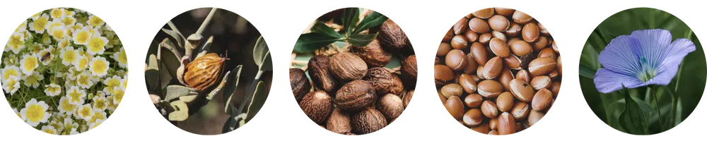 3 in 1 koostis - Nahrin