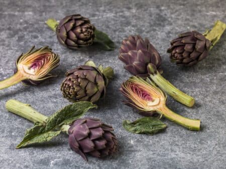 artišoki kasulikkus - Nahrin artišoki kasulikkus