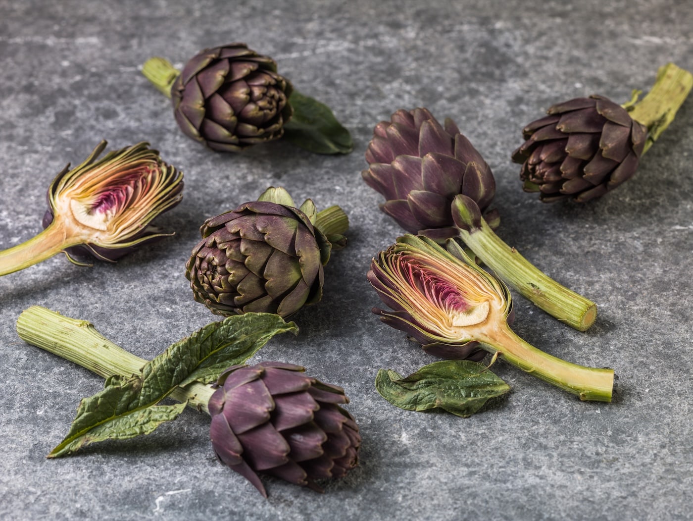 Juba vanas Egiptuses tuntud suureõieline artišokk jõudis Itaaliasse alles 15. sajandil. Järgmisel sajandil levis see seejärel ka Prantsusmaal, Belgias ja Inglis